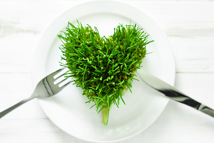 Wheatgrass the Cancer Killing Super Food