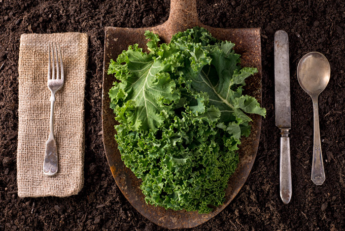 12 Health Benefits of Eating Kale