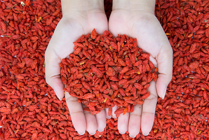 8 Reasons to Eat More Goji Berries